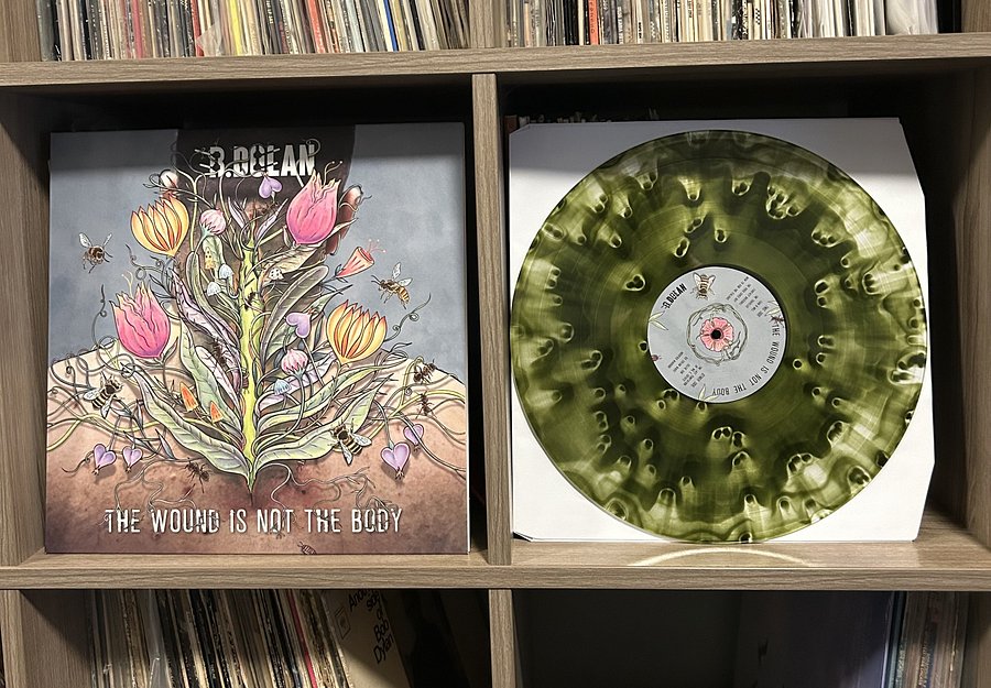 Autographed Vinyl - B. Dolan "The Wound Is Not the Body" (2024) product image (3)