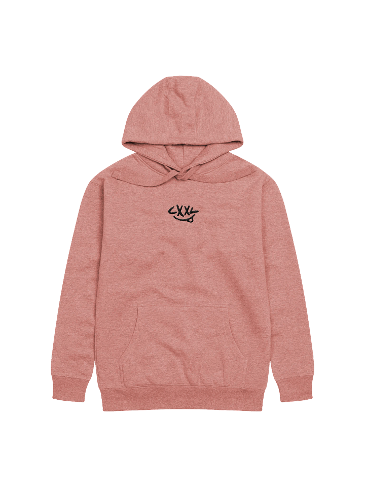 Light Embroidered CXXL Hoodies product image (1)
