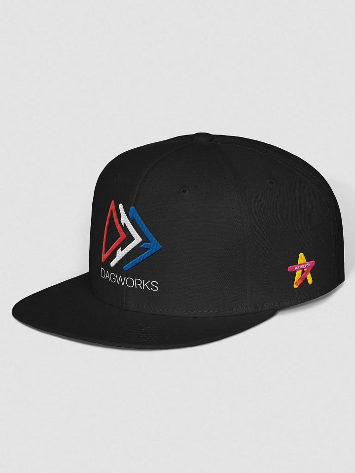 DAGWorks-Burr-Hamilton Cap product image (2)