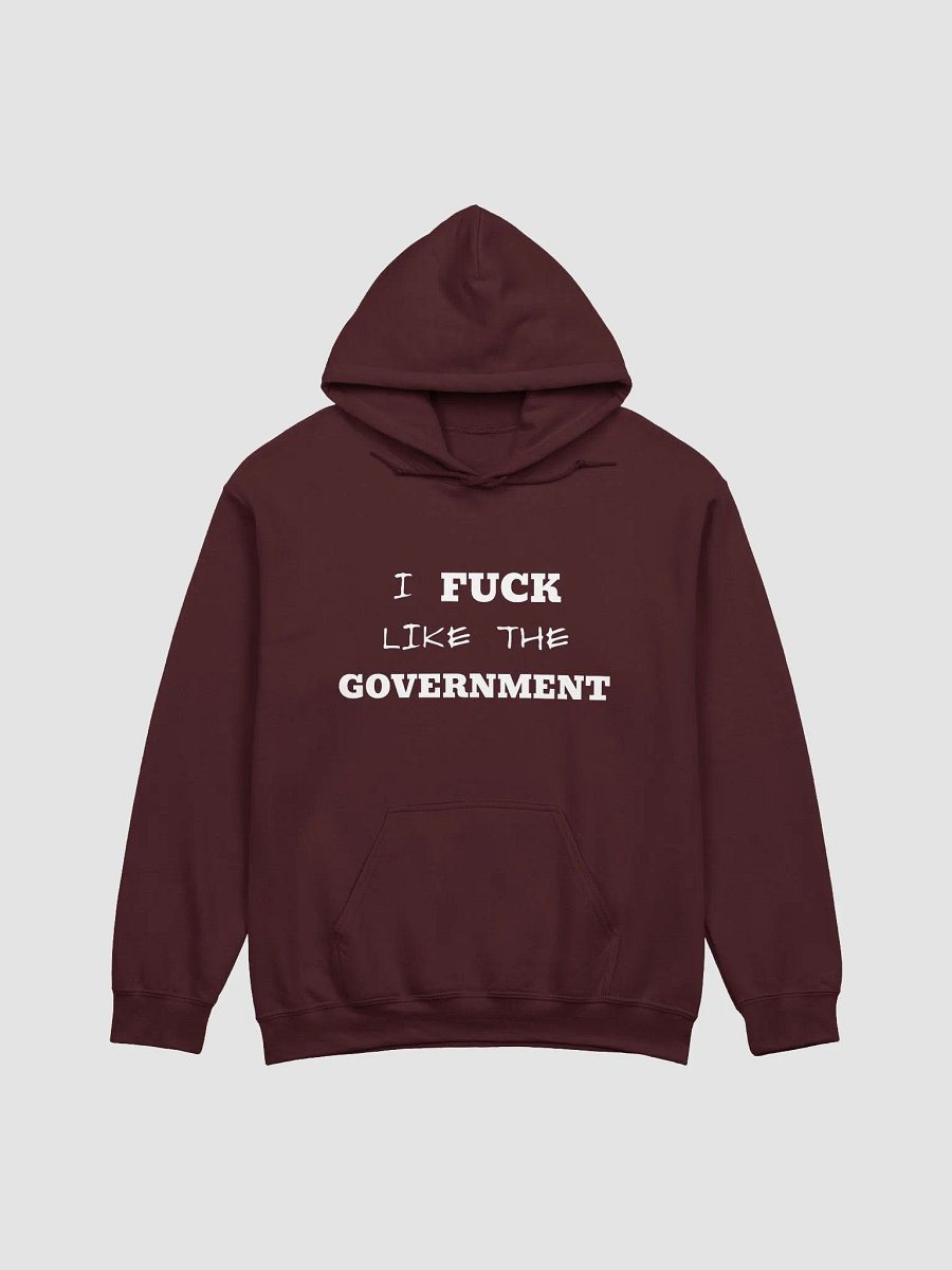 LIKE THE GOVERNMENT Hoodie product image (2)