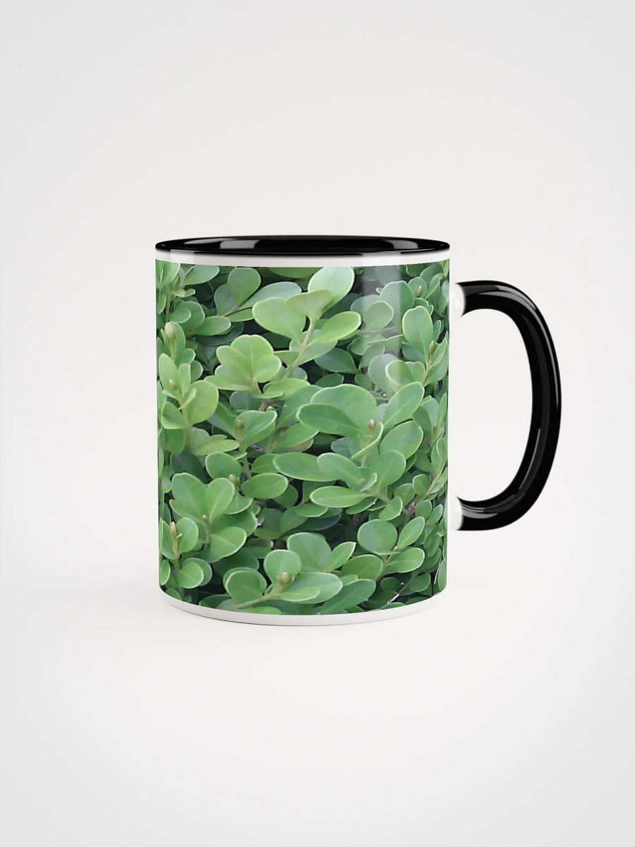 "Green Leaf" Colorized Mug product image (1)