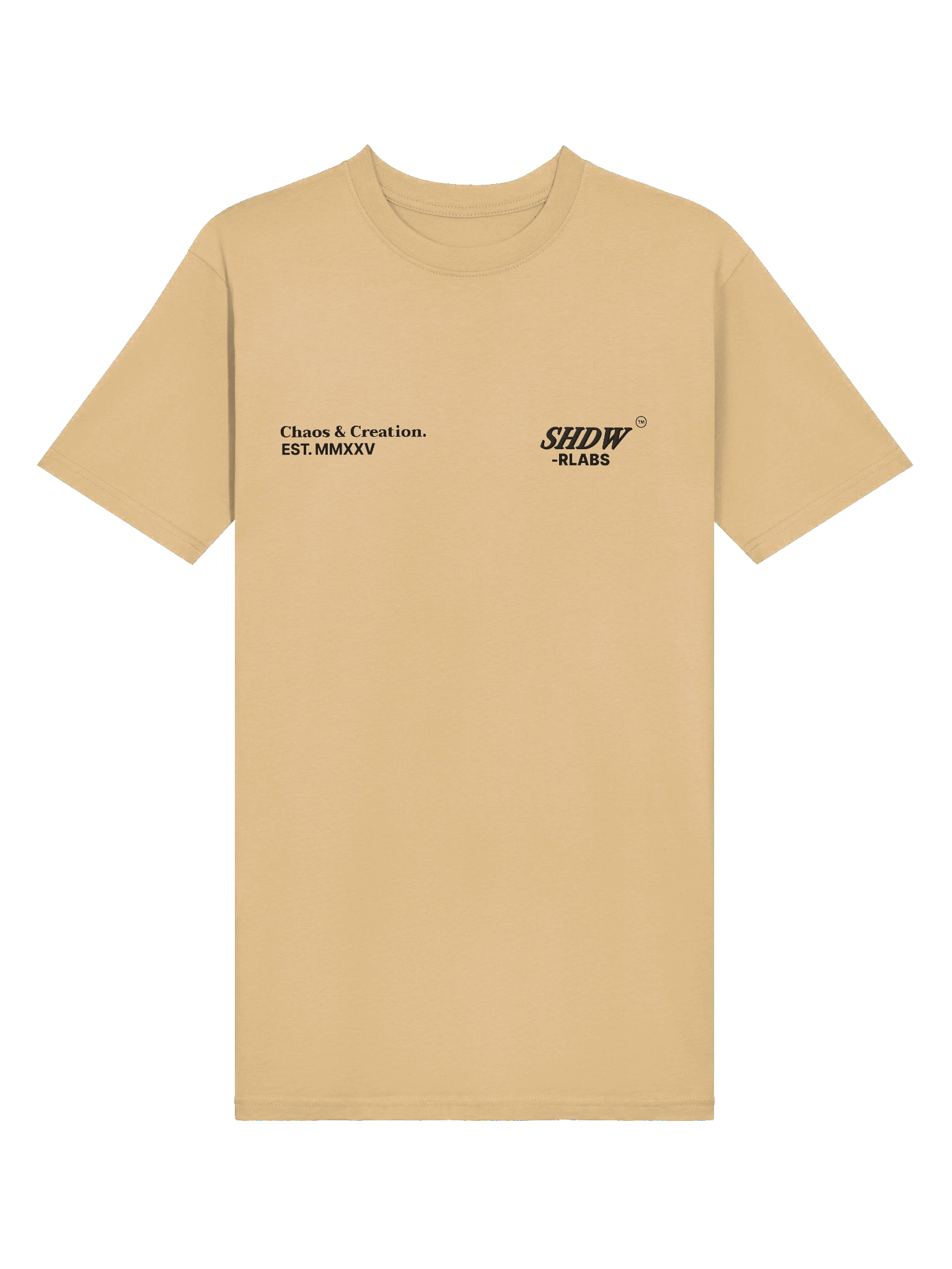 OVERSIZED TEE - SHDW LABS product image (6)