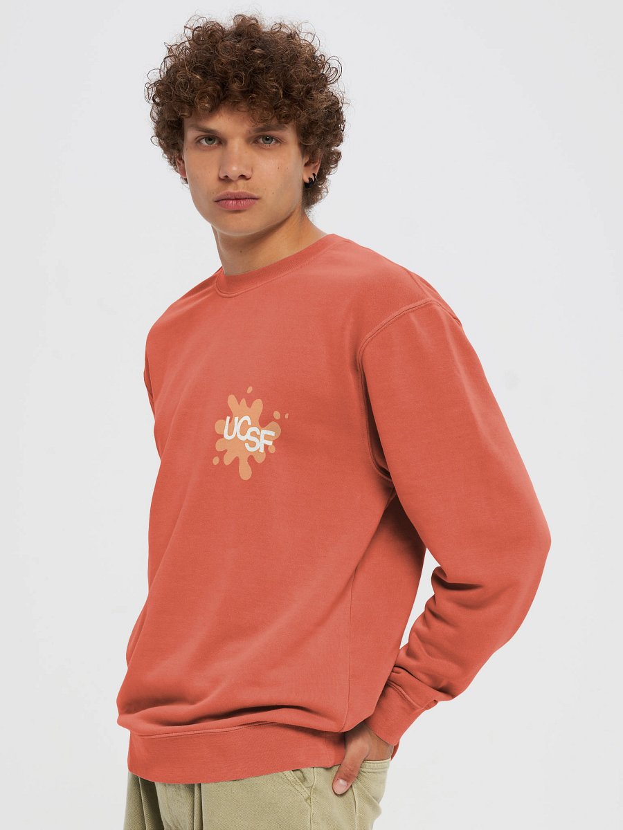 UCSF Nickelodeon Retro Sweatshirt product image (15)