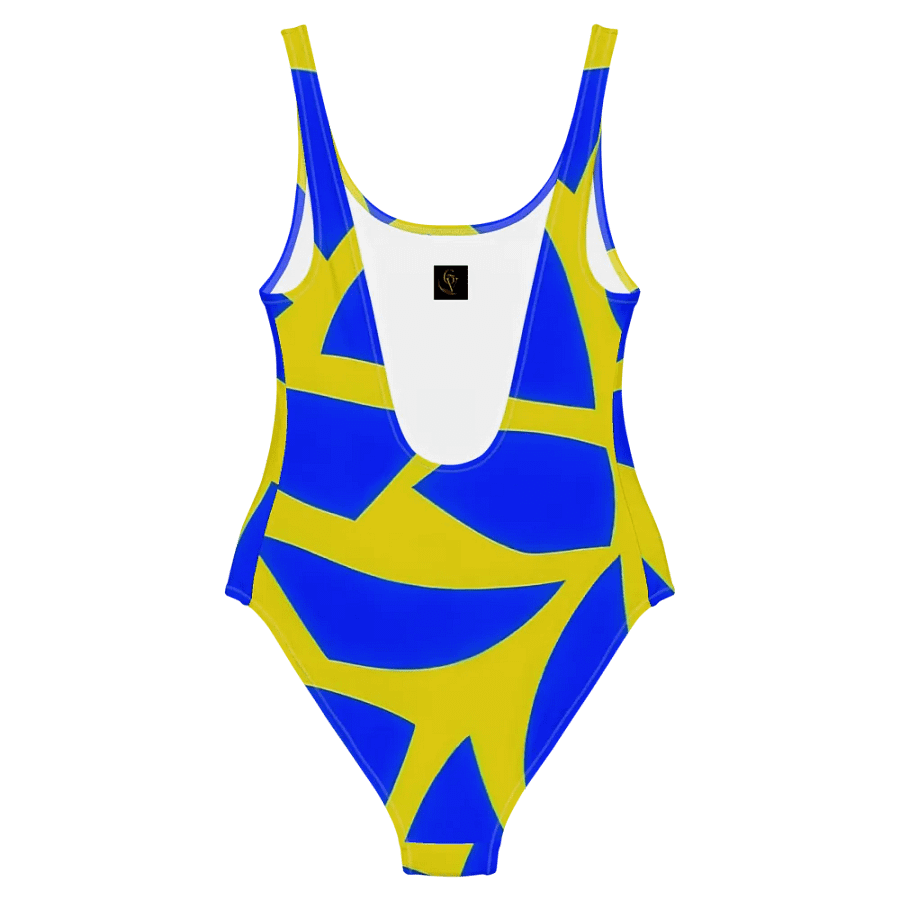 Retro Revival Swimsuit product image (2)