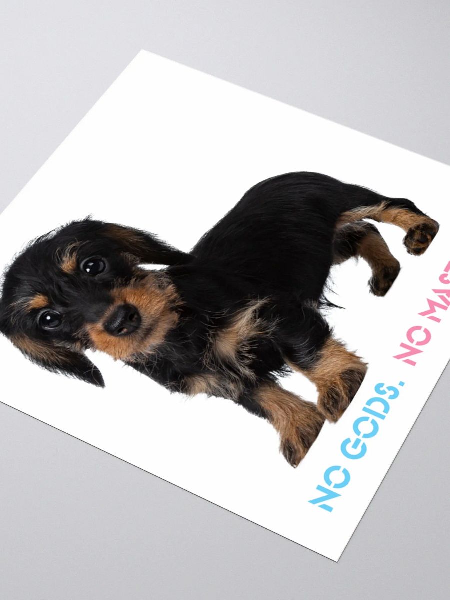 No Gods No Masters - White Sticker product image (8)