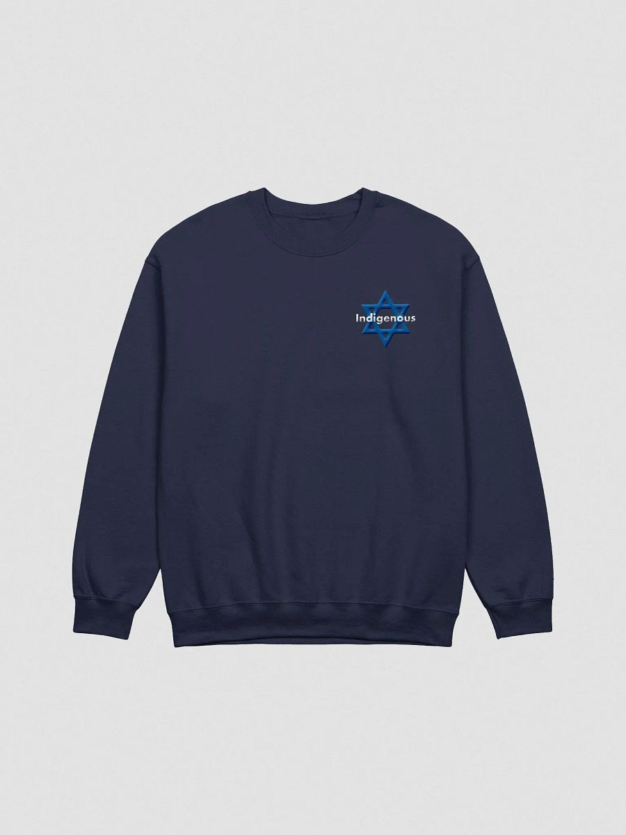 Indigenous Embroidered Sweatshirt product image (2)