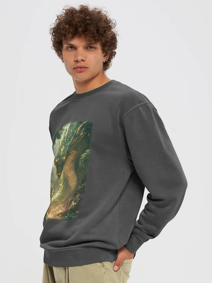 Mystical Dragon Encounter Sweatshirt product image (1)