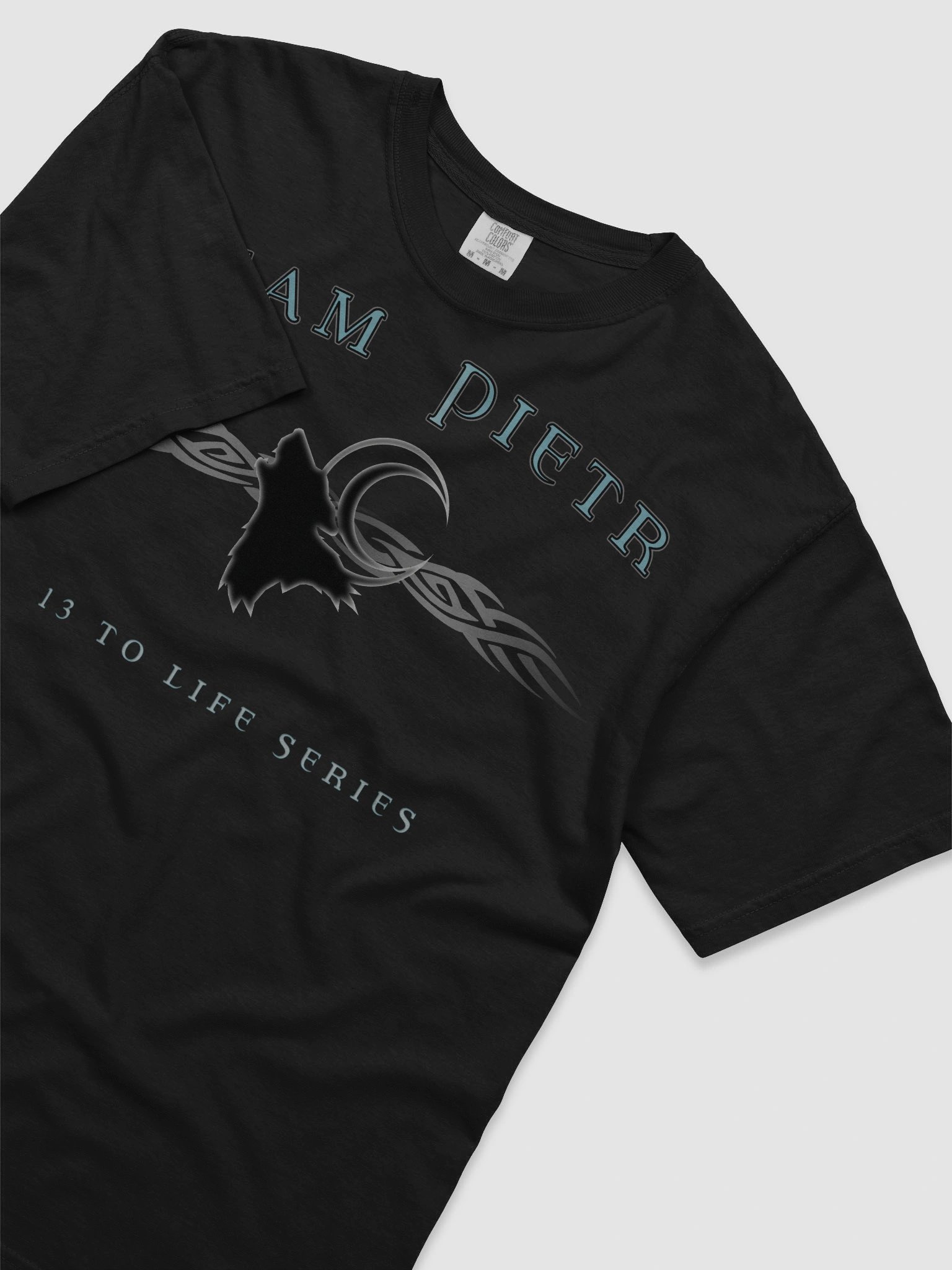 TEAM PIETR T-shirt— 13 TO LIFE series T-shirt product image (5)