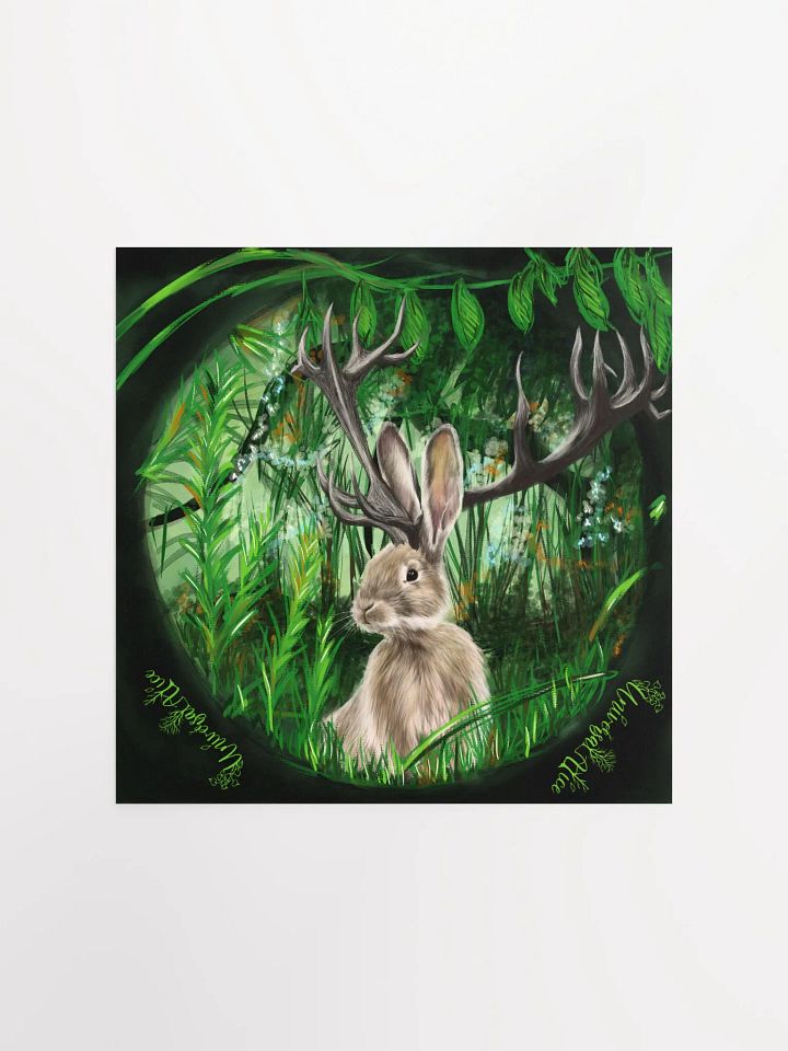 Jackalope product image (3)