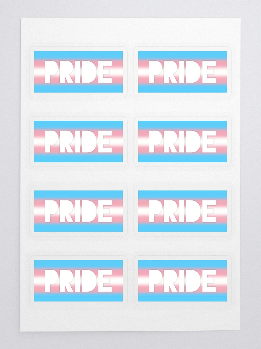 Trans Pride On Display - Stickers product image (3)