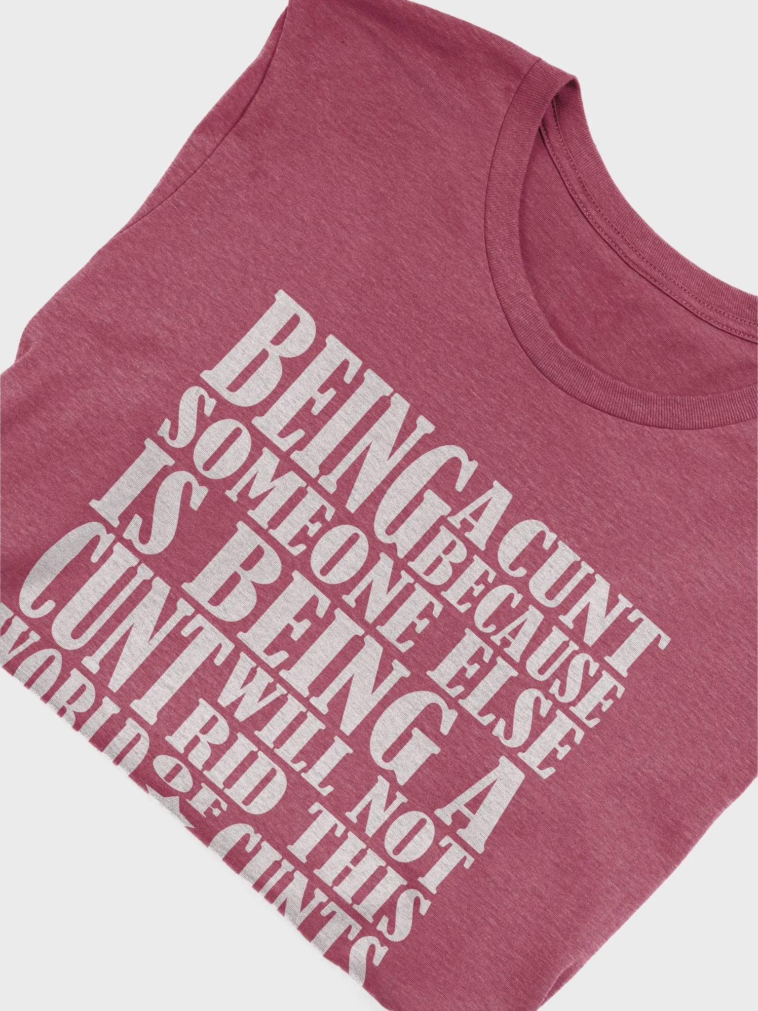 Stop Being A Cunt - White Lettering - Bella+Canvas Supersoft T-Shirt product image (1)