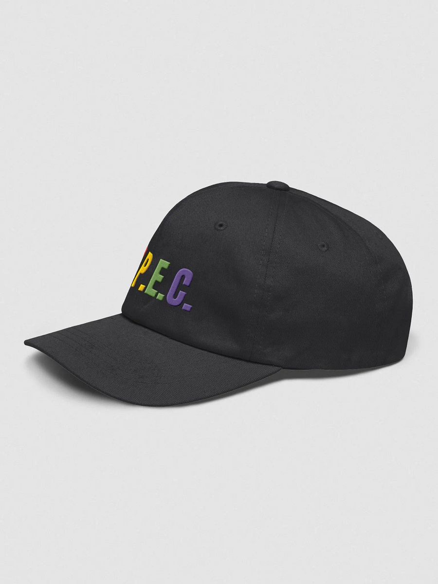 S.P.E.C. Colorful Dad Hat product image (23)