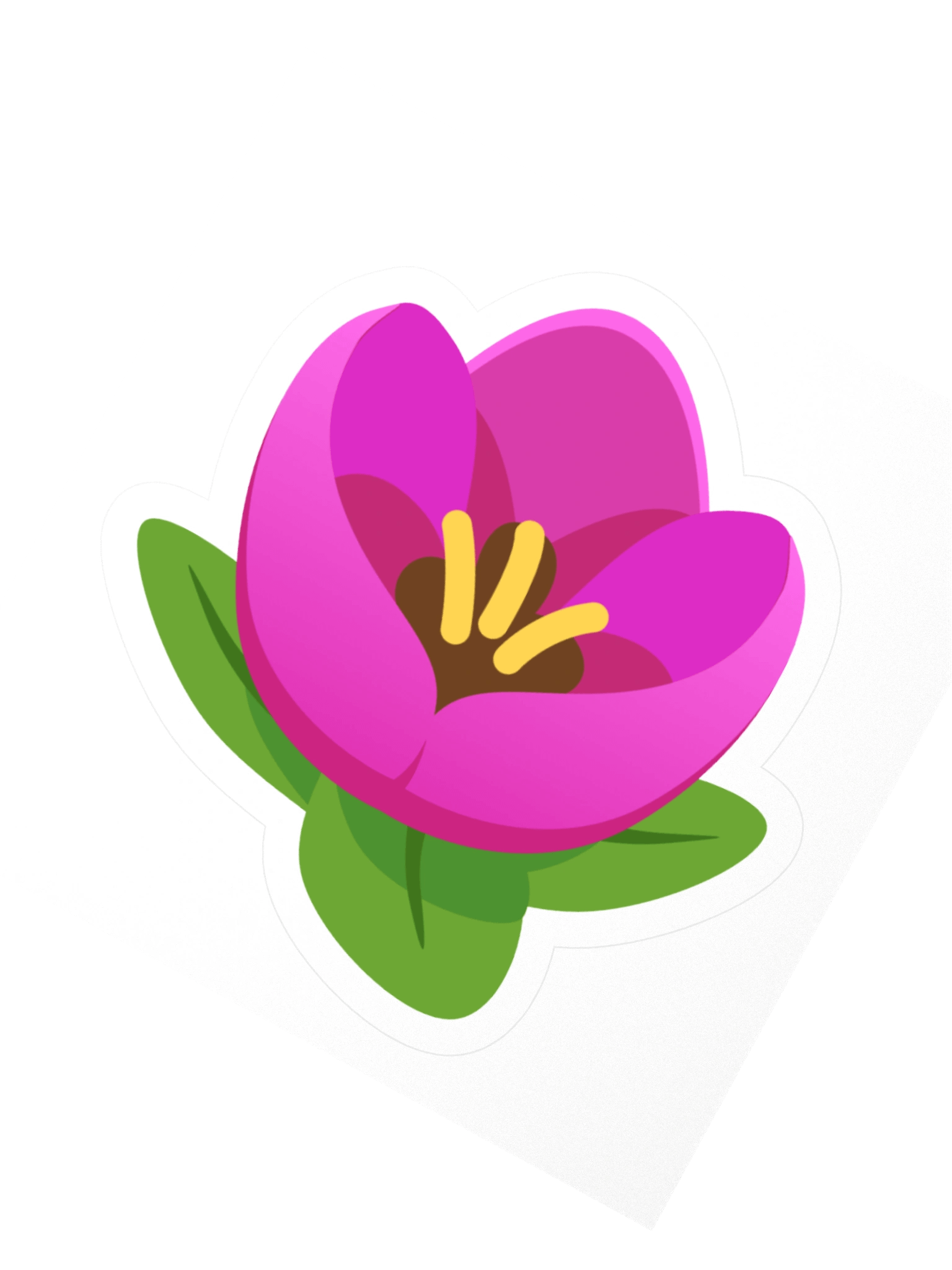 Tulip product image (2)