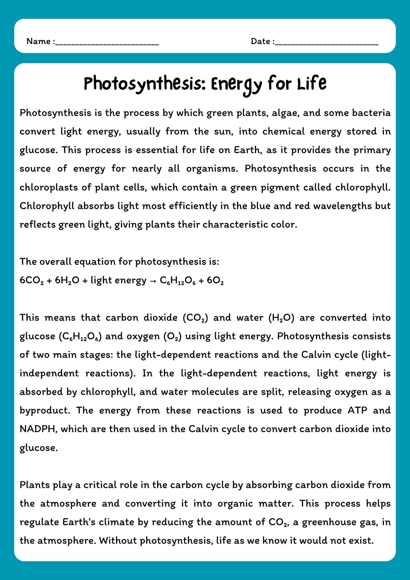 Photosynthesis Reading Comprehension Passage with Questions (PDF Download) product image (1)