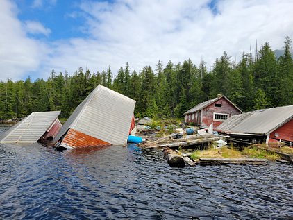  River’s Inlet, Salmon, and a Logging Treasure Trove