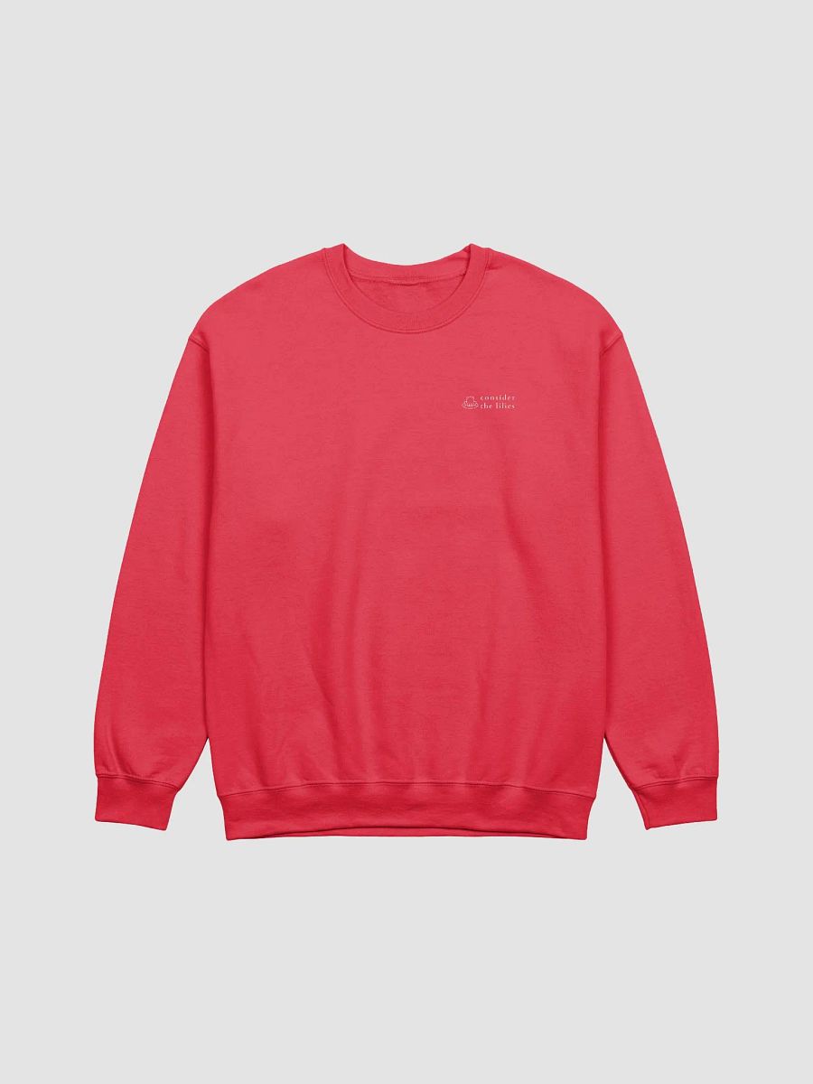 Find Some One Who Needs Lifting Up Red Sweatshirt product image (4)
