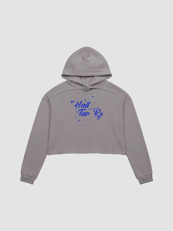 Hail Tar Ro Crop Hoodie product image (13)