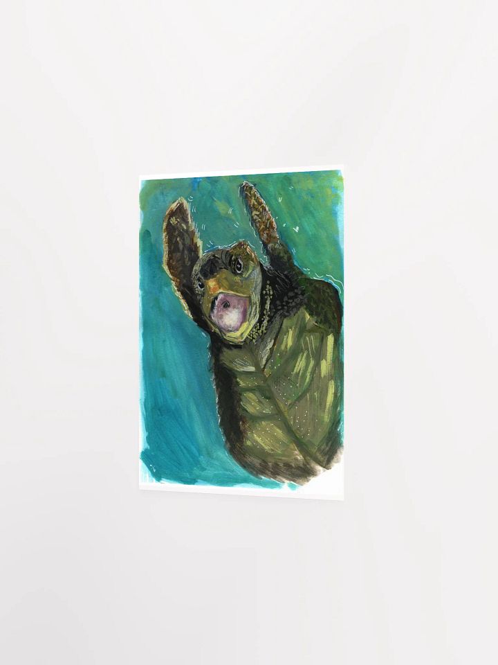 Turtle Print product image (3)
