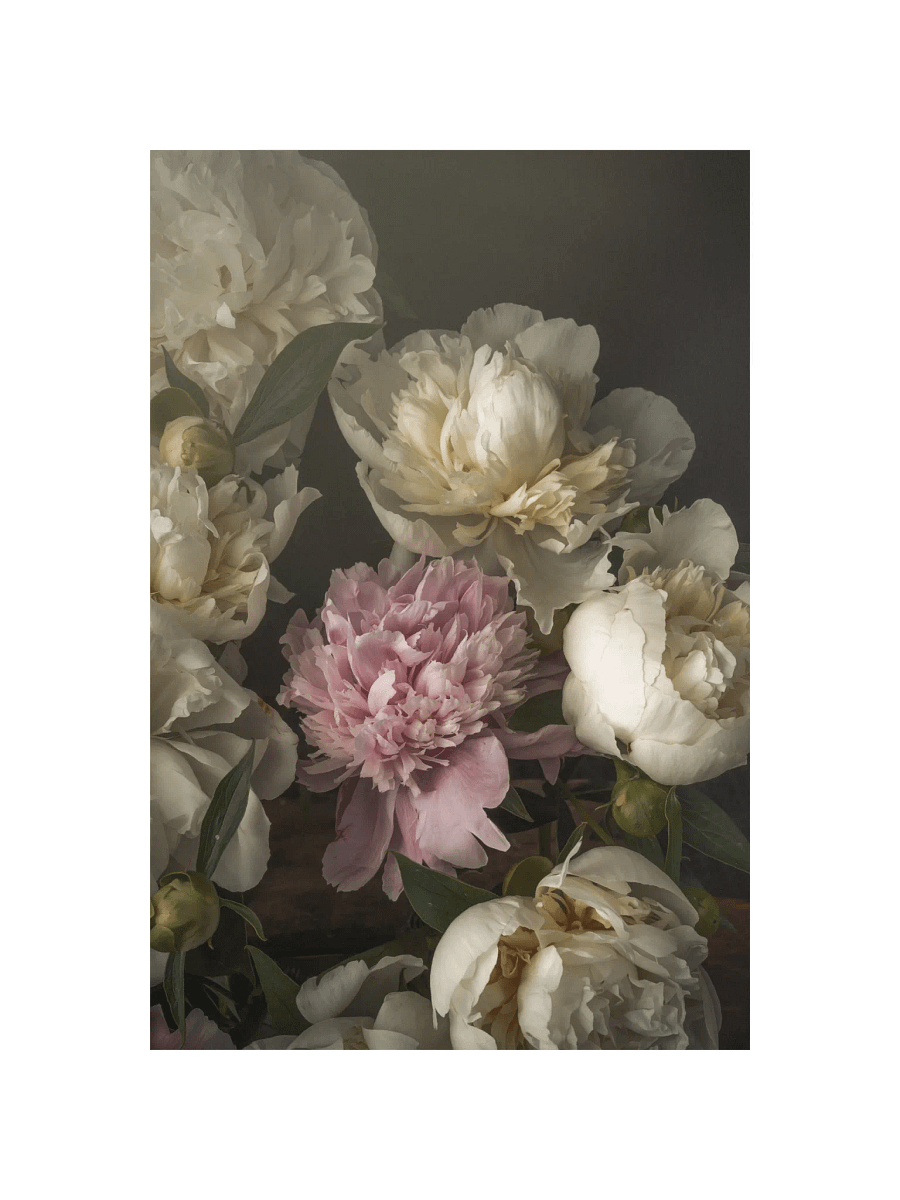Spring Peonies product image (1)