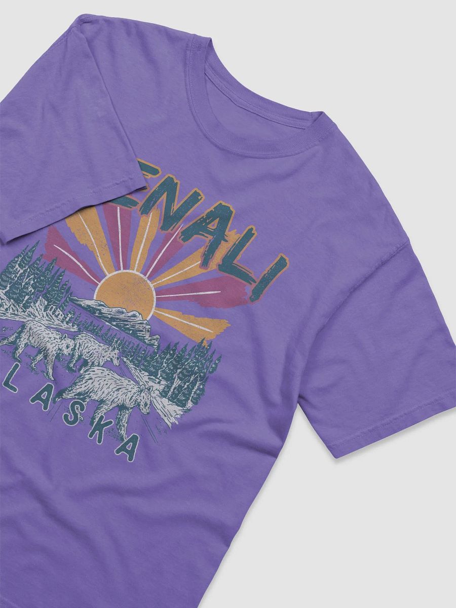 Denali National Park, Alaska Tee | Retro-Style Western T-Shirt for Travel and Road Trips product image (48)