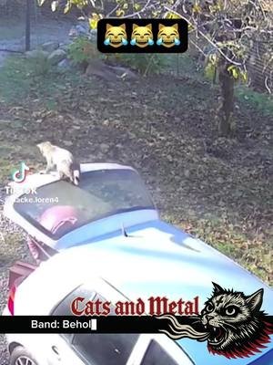 Metal/deathcore band Behold the Void @beholdthevoid presents their single “I’ve Been Here the Whole Time” — an atmospheric and powerful track that blends progressive deathcore with a black metal ambience. The composition conveys a sense of cold vastness and inner conflict, creating a unique sound that will appeal to fans of heavy, melancholic cosmic vibe metal with subtle djent influences. #catsandmetal #deathcore #deathmetal #metalcore 