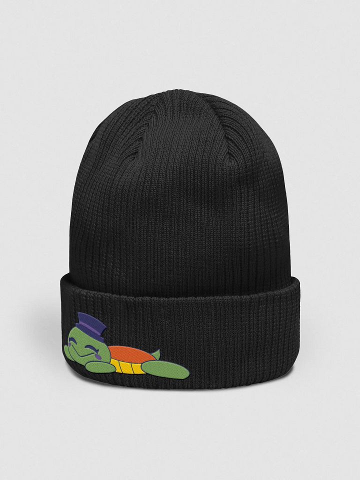 Sleepy Turtle Embroidered Beanie product image (2)