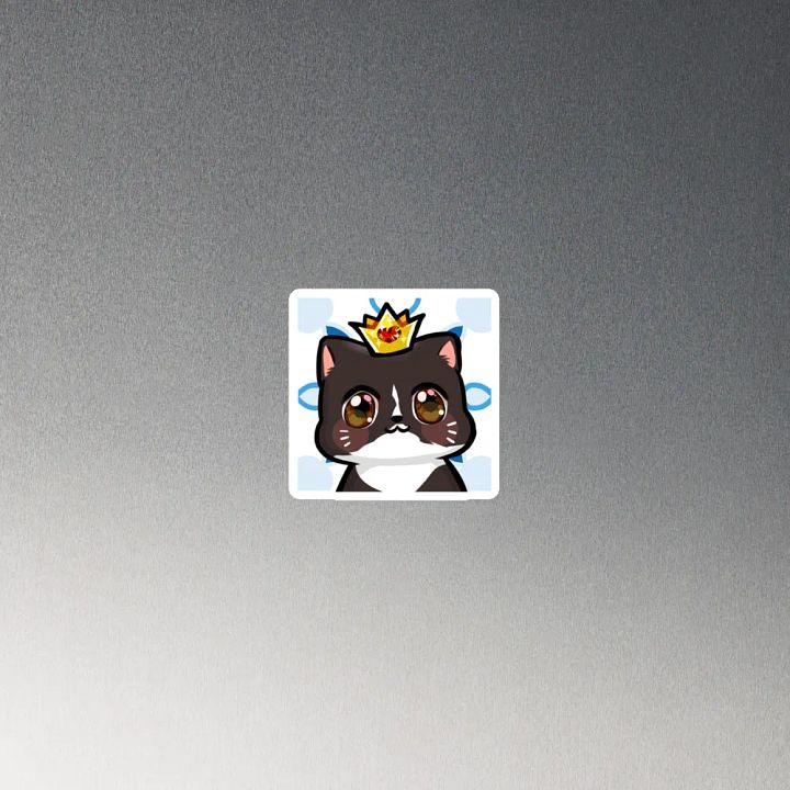 Arlo Magnet product image (4)