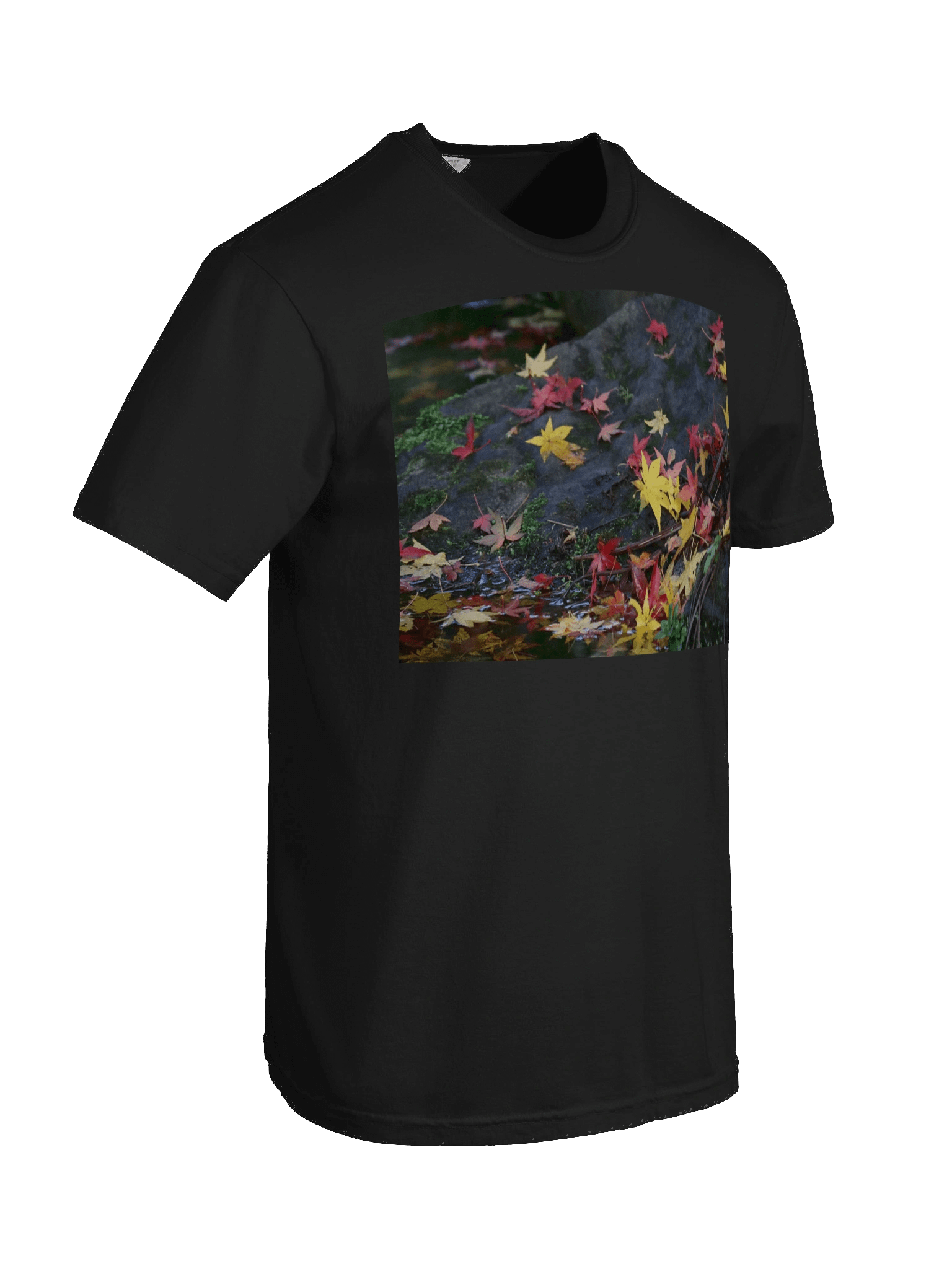 Love Joy Bestseller Autumn Beauty T-Shirt product image (8)