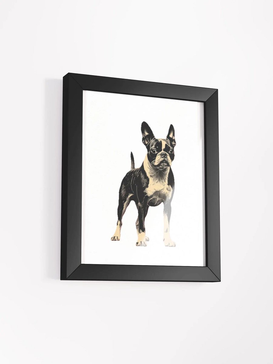 Boston Terrier product image (13)