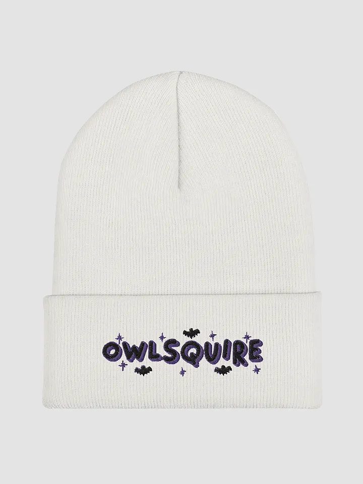 BATS Beanie (2022) product image (2)