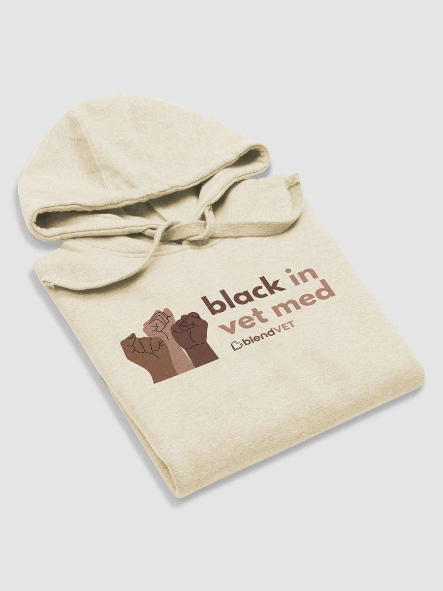 Black in Vet Med Hoodie product image (7)