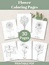 Flower Coloring Pages – Printable Set of 30