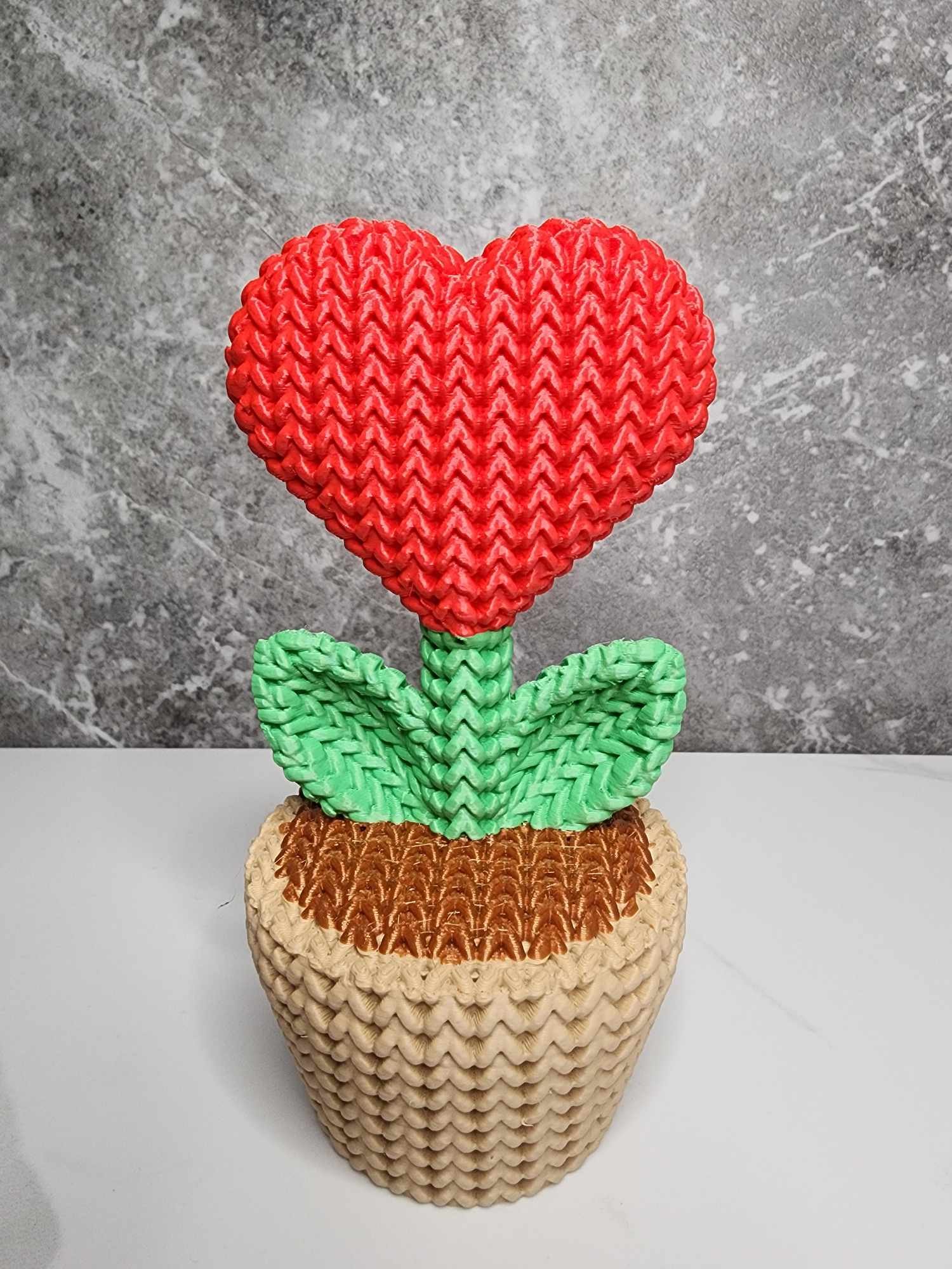 "Knitted" Heart Plant in a Pot product image (1)