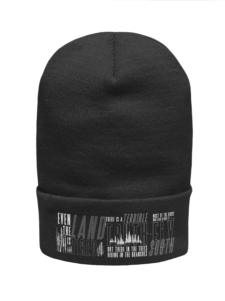 That's February For You Embroidered Beanie product image (1)