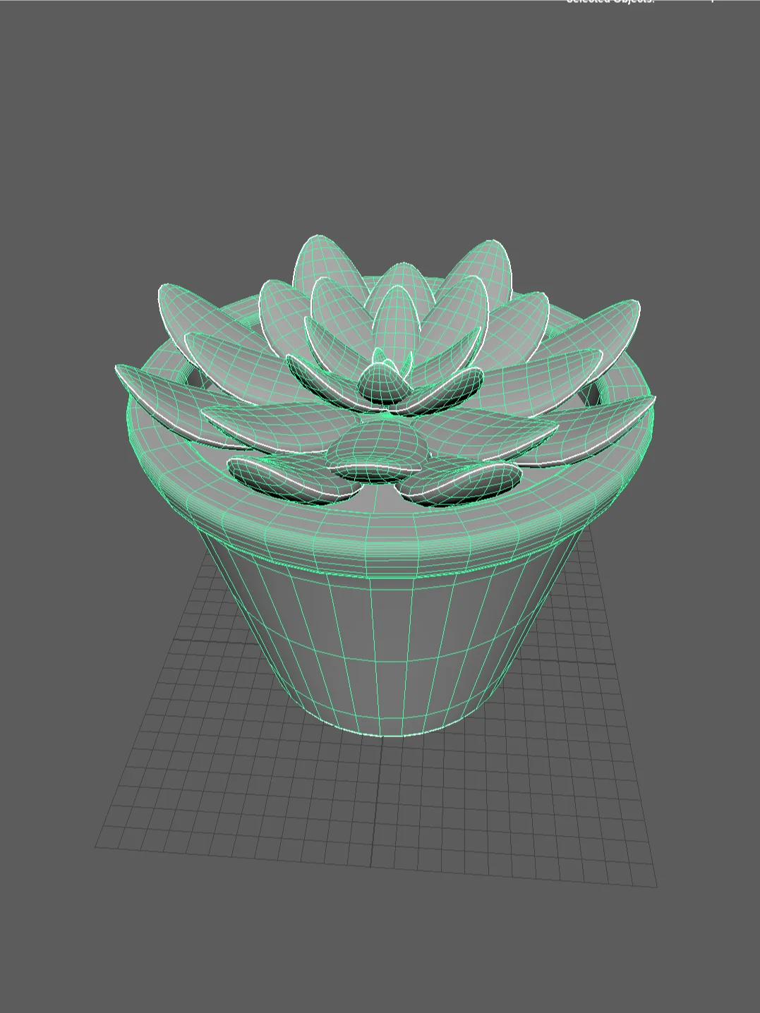 succulents product image (2)