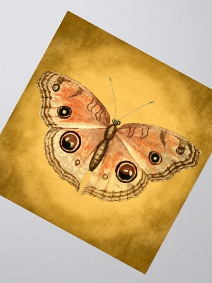 Butterfly Kiss Cut Stickers product image (2)
