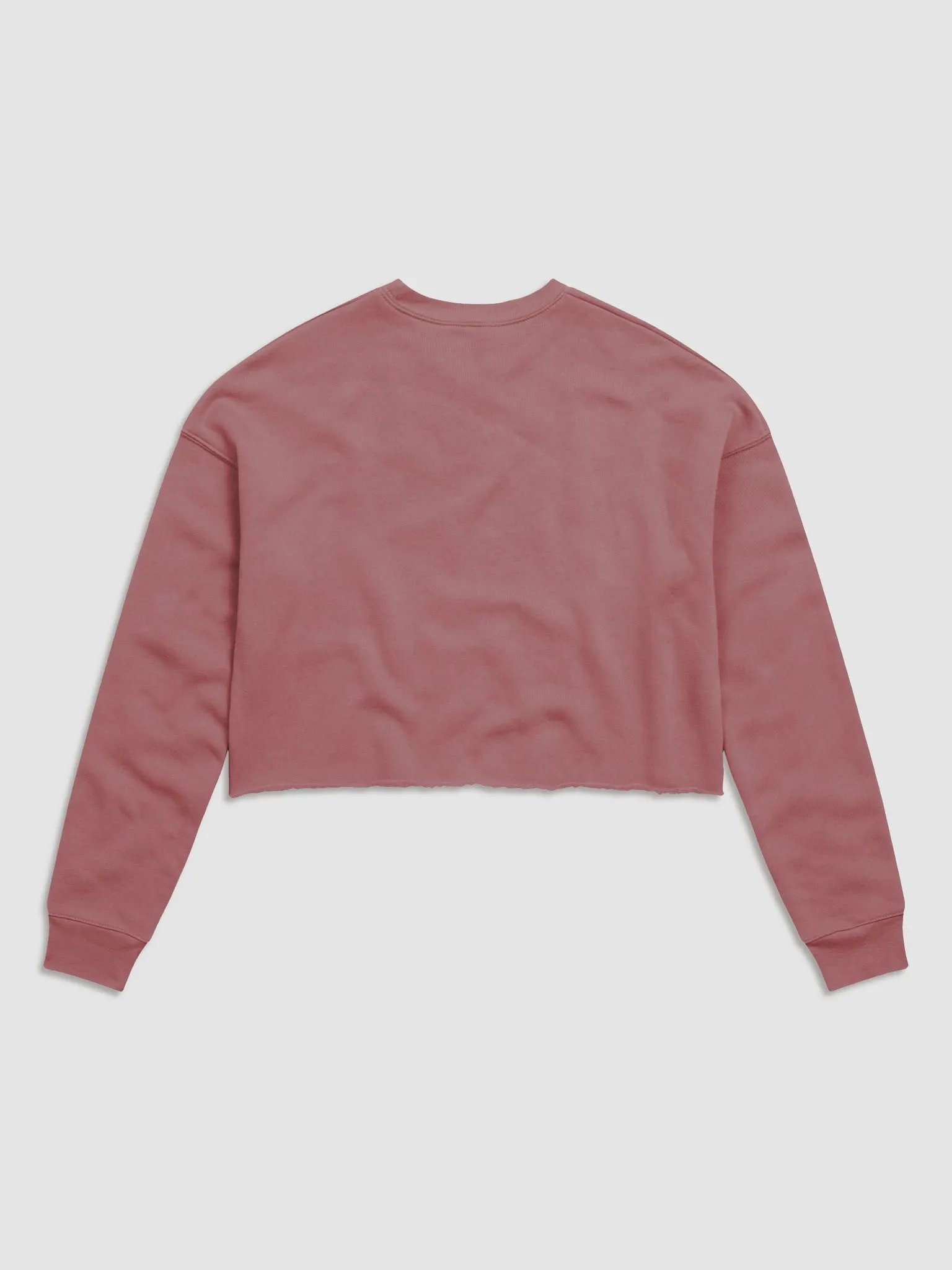 Cats and Cameras Cropped Sweatshirt product image (10)
