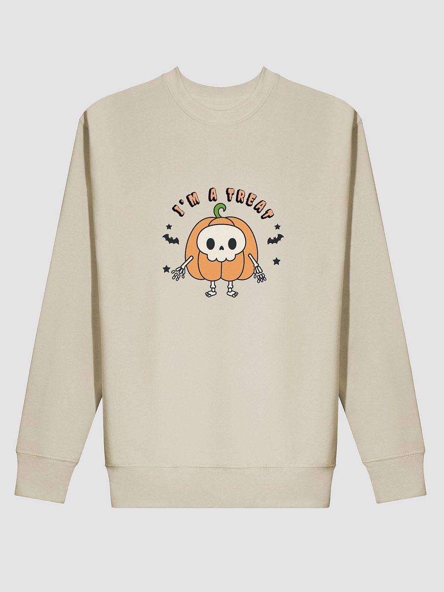 Skeleton Treat Premium Sweatshirt product image (8)