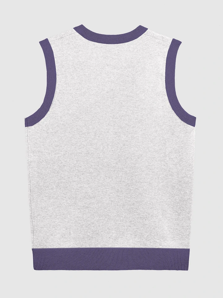 Sorority House Sweater Vest product image (9)