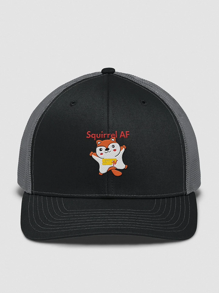 Squirrel AF SPTV Hat product image (1)