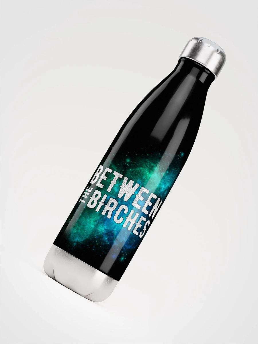 Between the Birches Trilogy Water Bottle // Stainless Steel V2 product image (4)