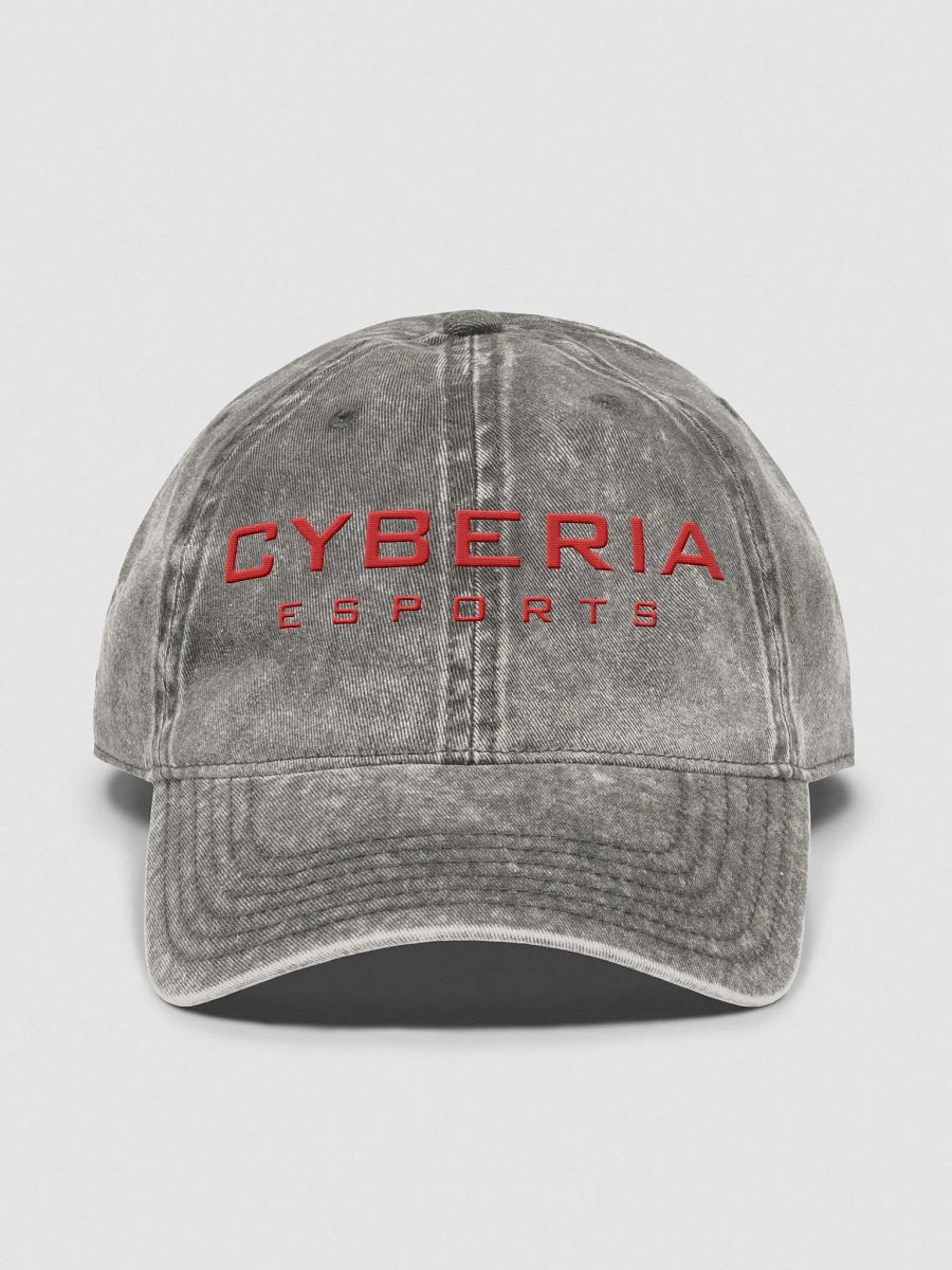 Otto Vintage x Cyberia Esports Wash Dad Hat product image (1)
