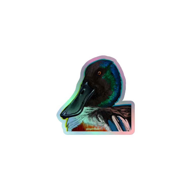 northern shoveler duck sticker product image (1)