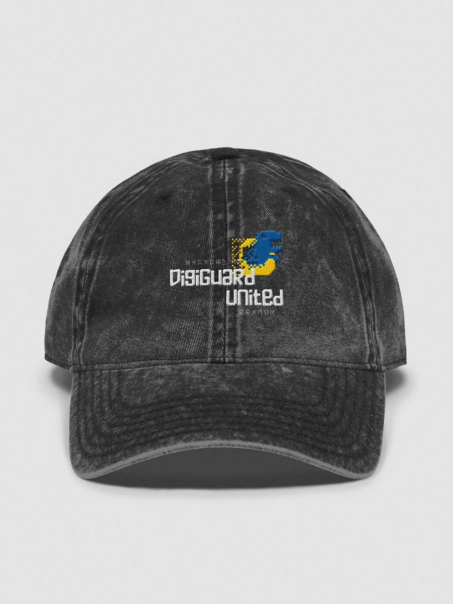 DGU Supporter Vintage Cap product image (4)