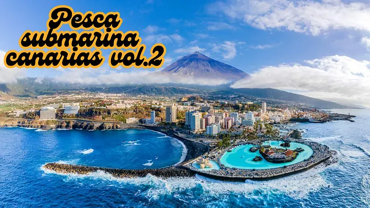 Pesca submarina en canarias vol.2 product image (1)