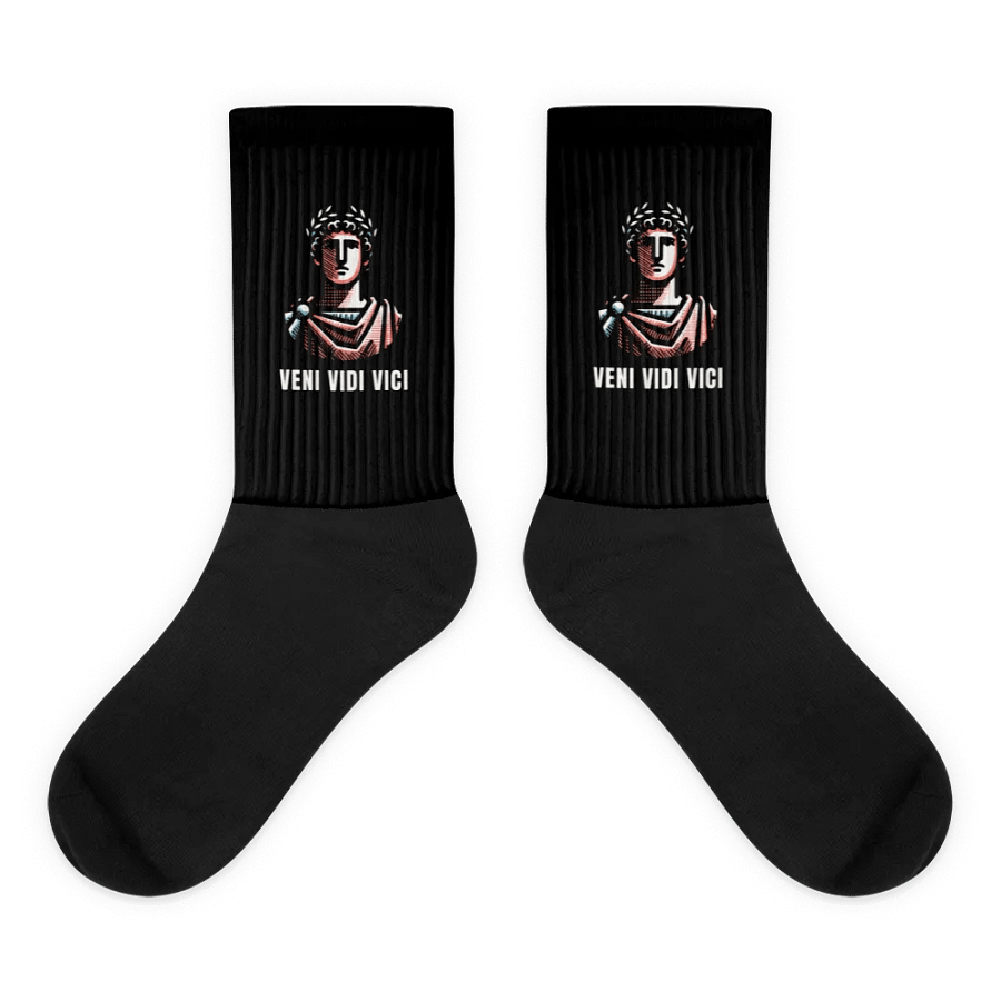Veni Vidi Vici Socks product image (5)