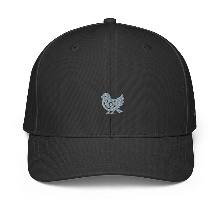 BraveBiird Cap product image (2)