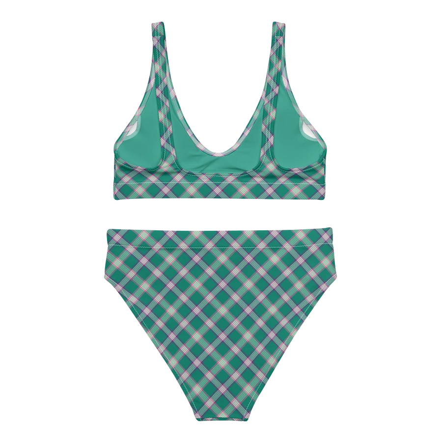 Emerald Green and Purple Plaid Bikini product image (4)
