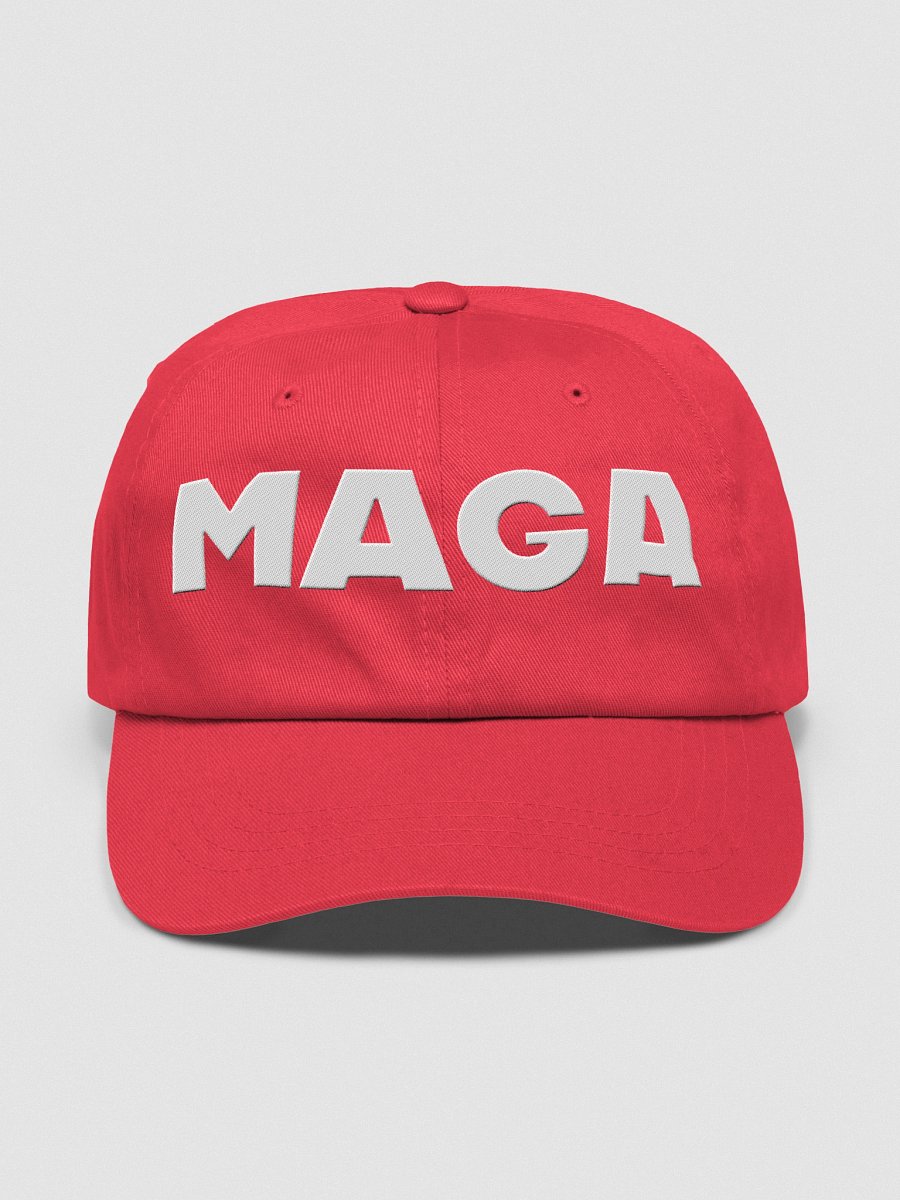 MAGA HAT product image (1)