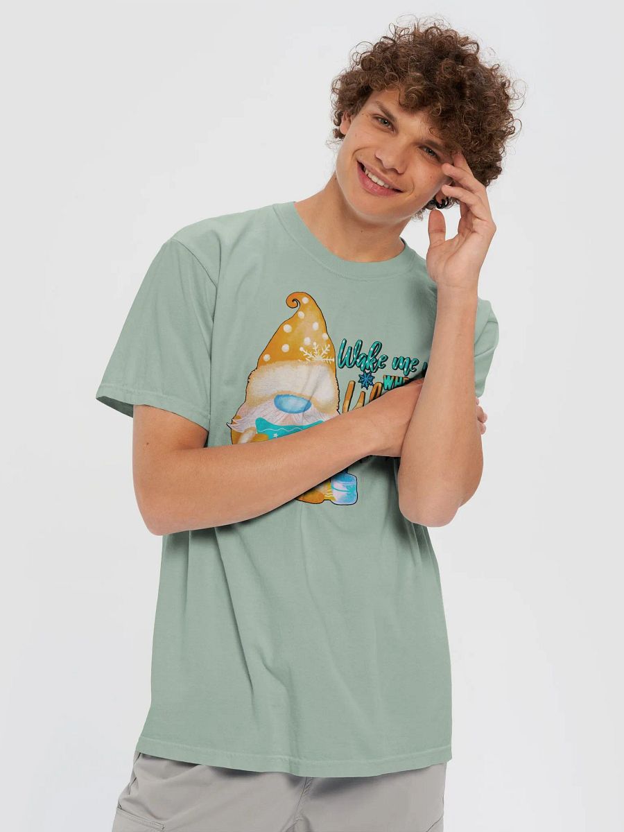 WAKE ME UP WHEN WINTER IS OVER product image (64)